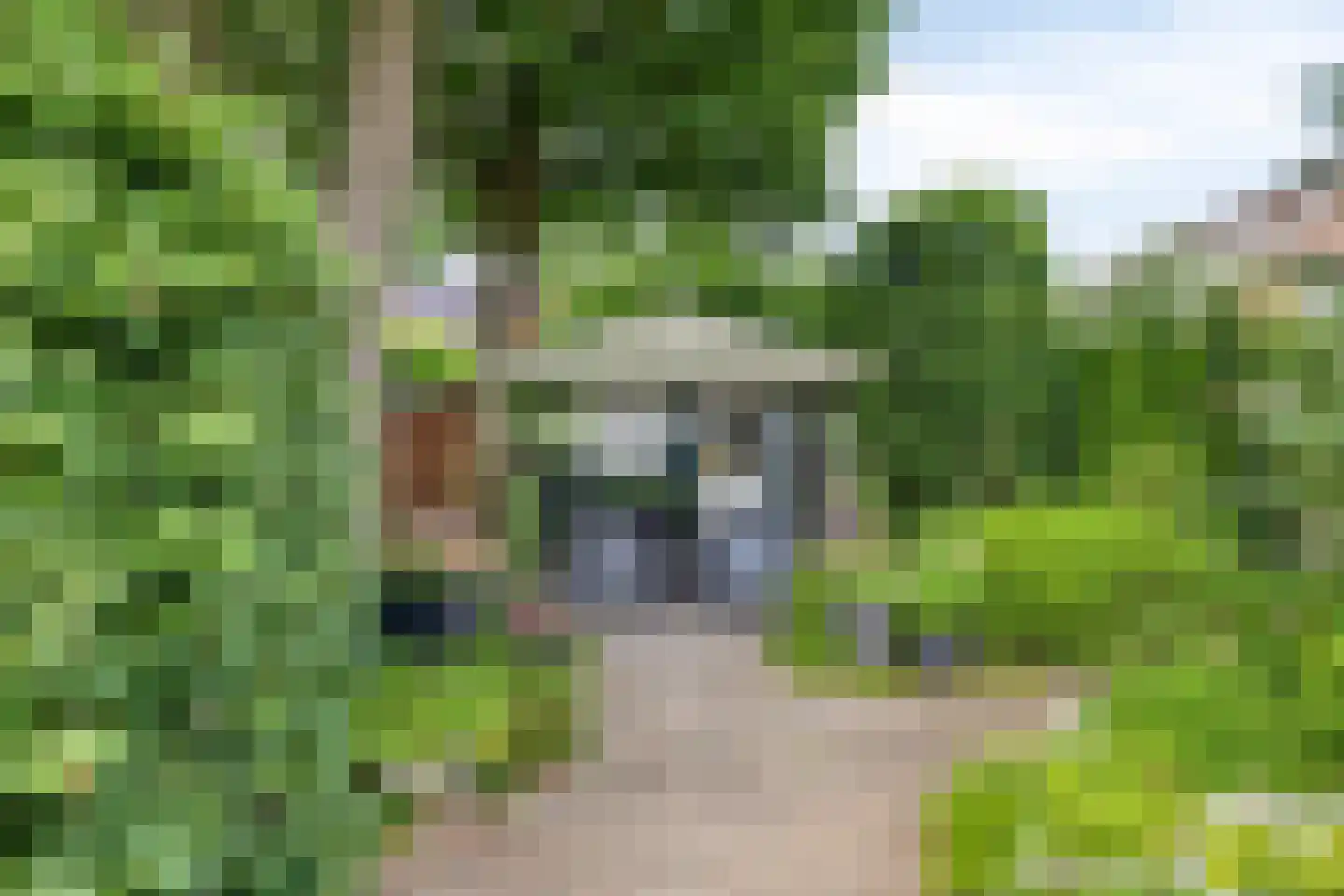 Broeklaan 68 Assen thumbnail 36