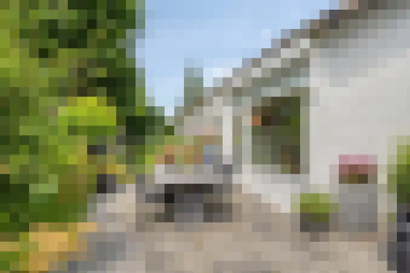 Broeklaan 68 Assen thumbnail 40