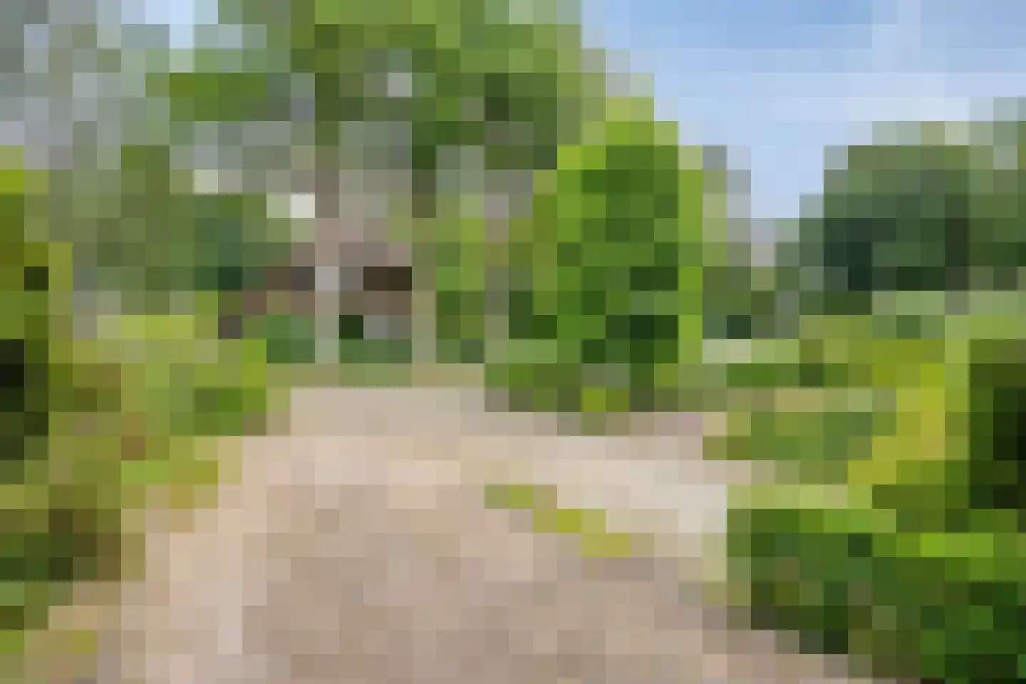 Broeklaan 68 Assen thumbnail 6