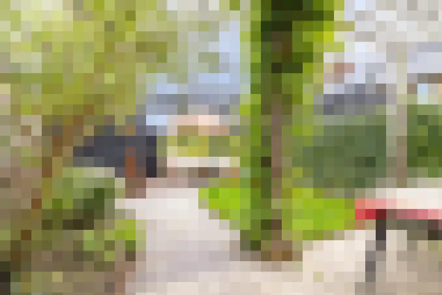 Broekland 19 Bunschoten-Spakenburg thumbnail 34