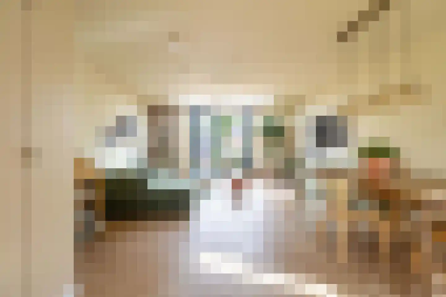 Broekland 19 Bunschoten-Spakenburg thumbnail 5