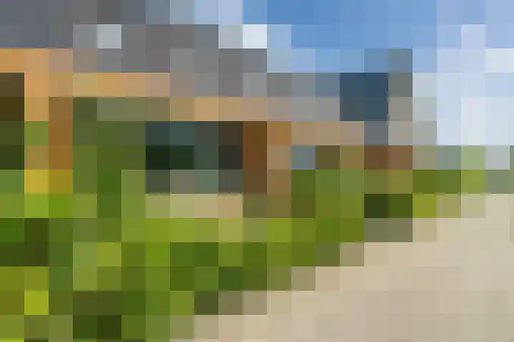 Broekland 25 Bunschoten-Spakenburg thumbnail 30