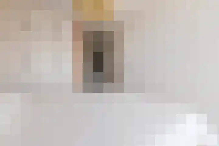 Broekland 26 Bunschoten-Spakenburg thumbnail 15