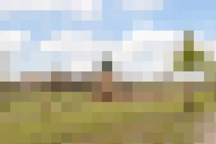 Broekland 26 Bunschoten-Spakenburg thumbnail 29