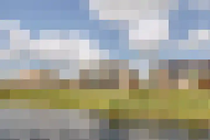 Broekland 26 Bunschoten-Spakenburg thumbnail 32