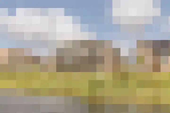 Broekland 26 Bunschoten-Spakenburg thumbnail 33
