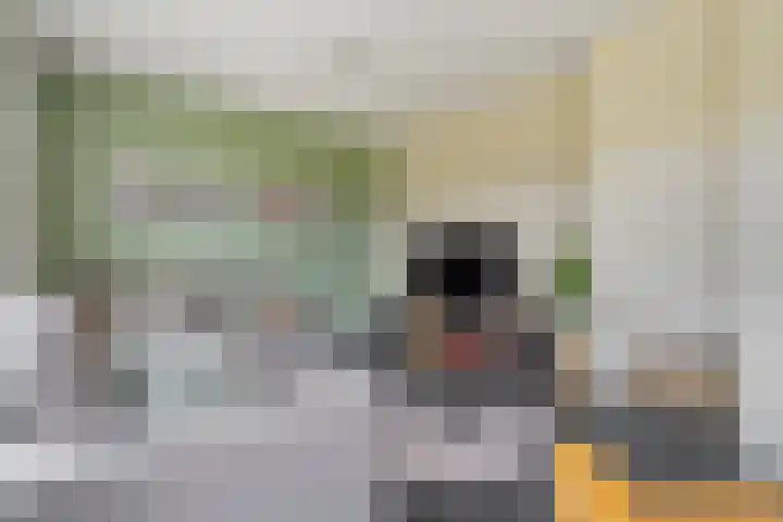 Broekmaten 1 Den Ham thumbnail 10