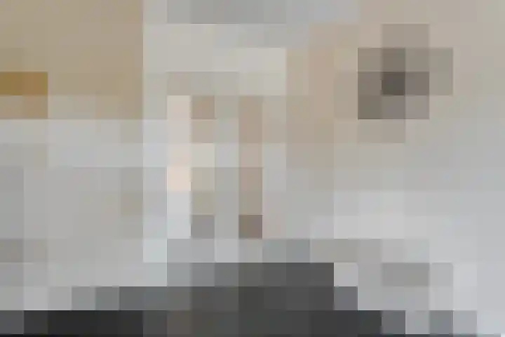 Broekmaten 1 Den Ham thumbnail 15