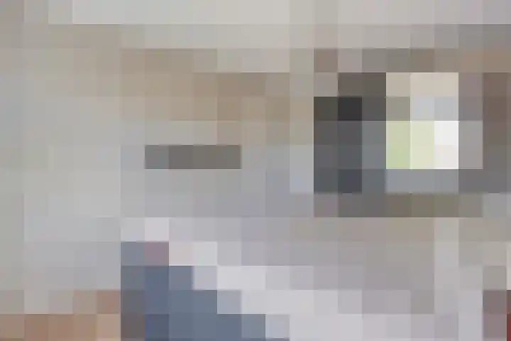 Broekmaten 1 Den Ham thumbnail 28