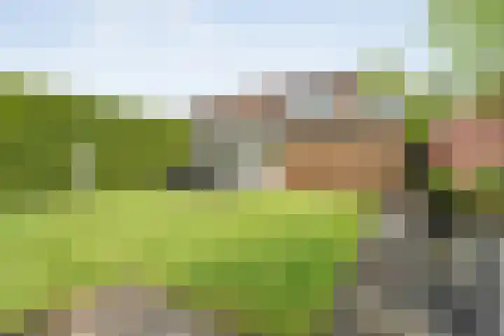 Broekmaten 1 Den Ham thumbnail 39