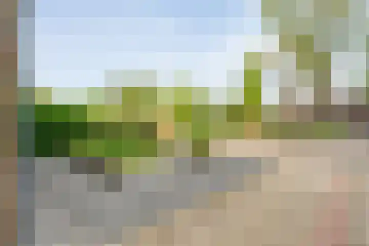 Broekmaten 1 Den Ham thumbnail 4