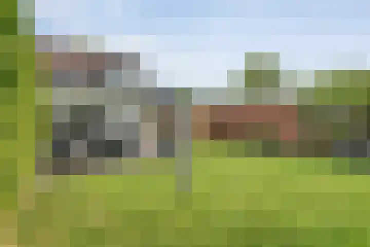 Broekmaten 1 Den Ham thumbnail 43