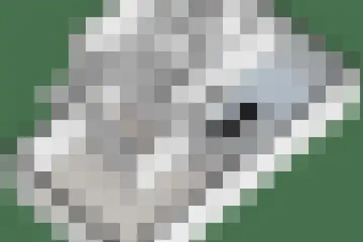 Broekmaten 1 Den Ham thumbnail 45