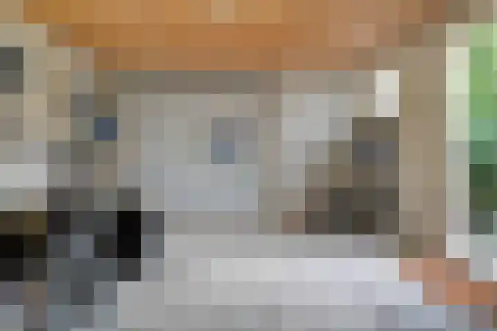 Broekmaten 16 Den Ham thumbnail 30