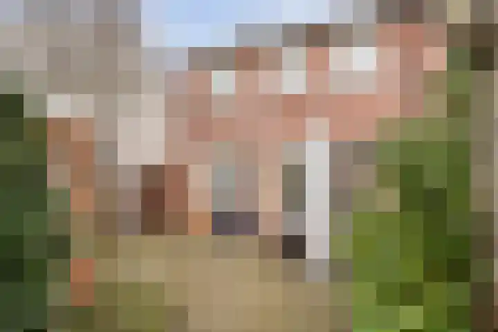 Broekmaten 16 Den Ham thumbnail 33
