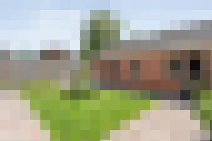 Broekmaten 26 Den Ham thumbnail 34