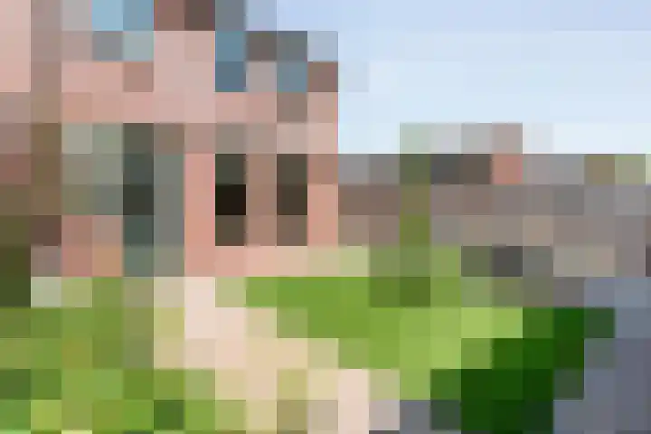 Broekmaten 26 Den Ham thumbnail 35