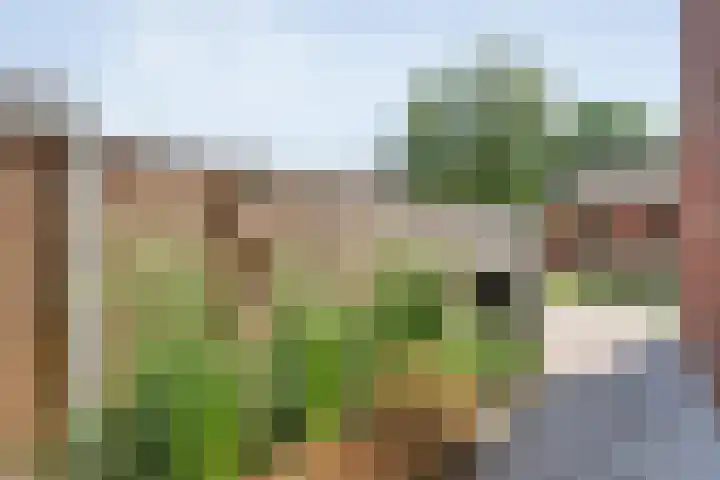 Broekmaten 26 Den Ham thumbnail 39