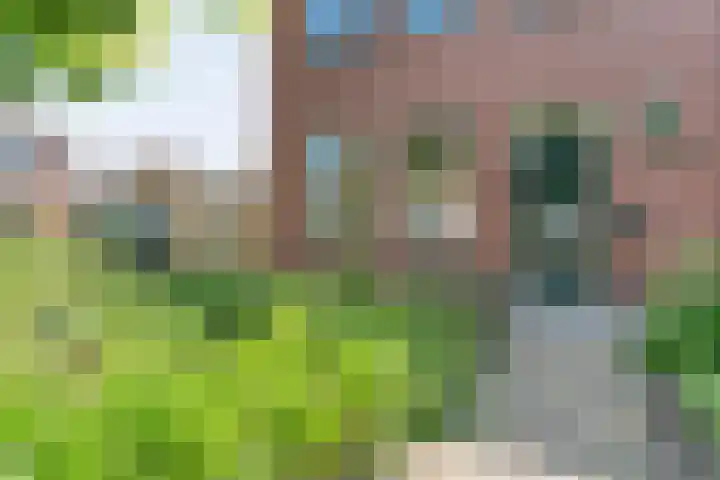 Broekmaten 26 Den Ham thumbnail 4