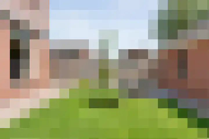 Broekmaten 26 Den Ham thumbnail 41