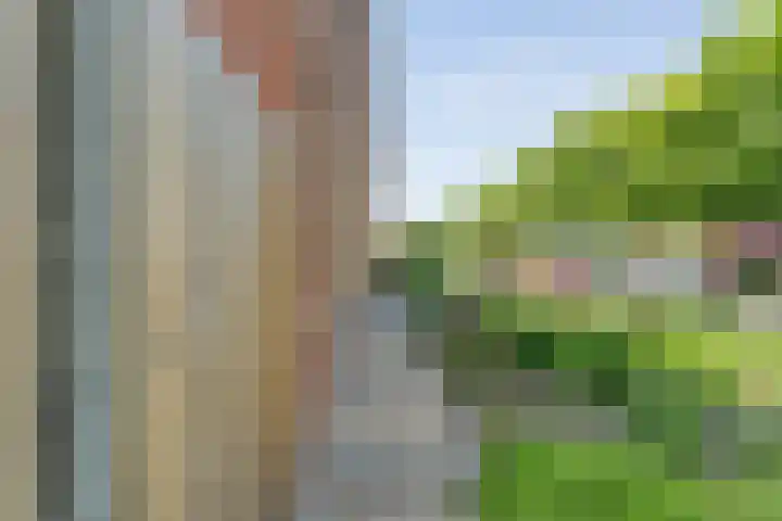 Broekmaten 26 Den Ham thumbnail 44