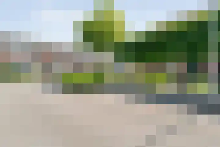 Broekmaten 26 Den Ham thumbnail 45