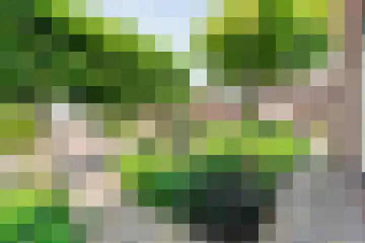 Broekmaten 26 Den Ham thumbnail 5