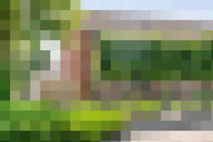 Broekmaten 26 Den Ham thumbnail 53