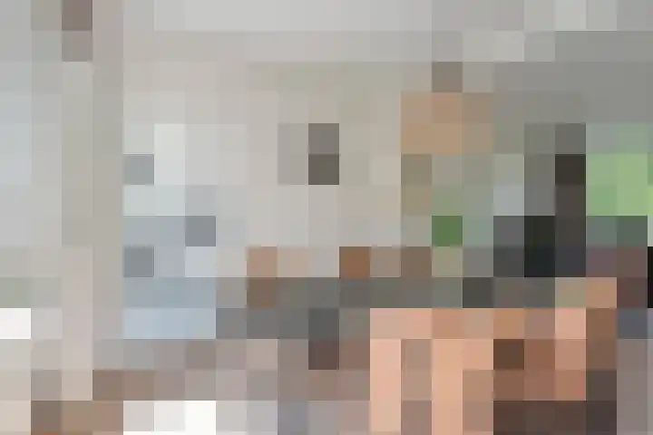 Broekmaten 26 Den Ham thumbnail 9