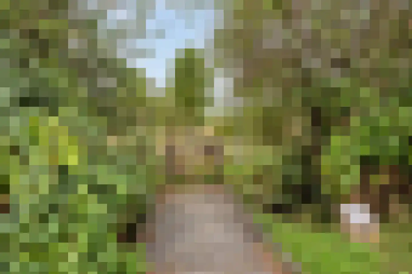 Broekmorgen 33 Uden thumbnail 41