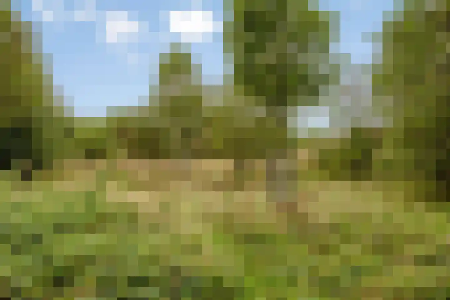 Broekmorgen 33 Uden thumbnail 42