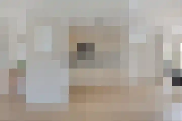 Broekmorgen 34 Uden thumbnail 12