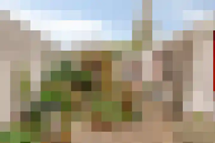 Broekmorgen 34 Uden thumbnail 25