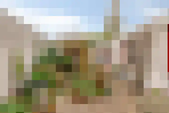 Broekmorgen 34 Uden thumbnail 4