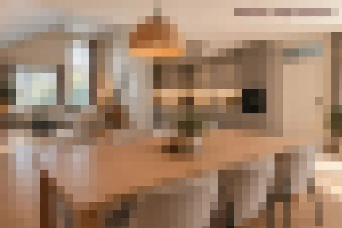 Broekmorgen 36 Uden thumbnail 11
