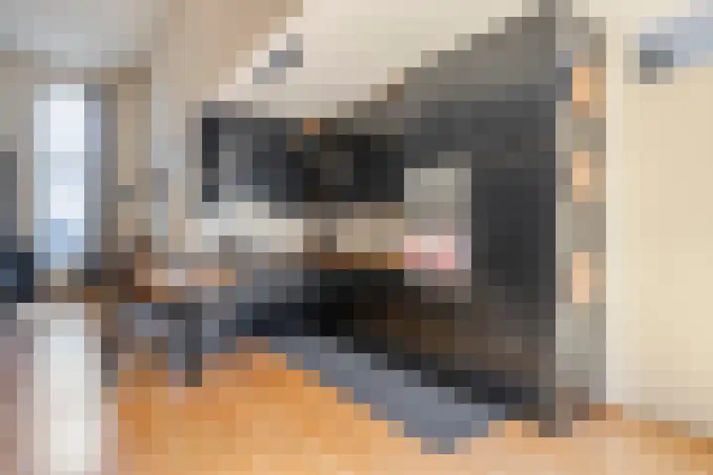 Broekmorgen 36 Uden thumbnail 12