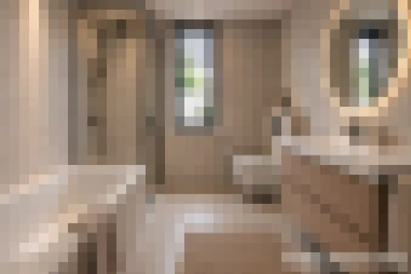 Broekmorgen 36 Uden thumbnail 21