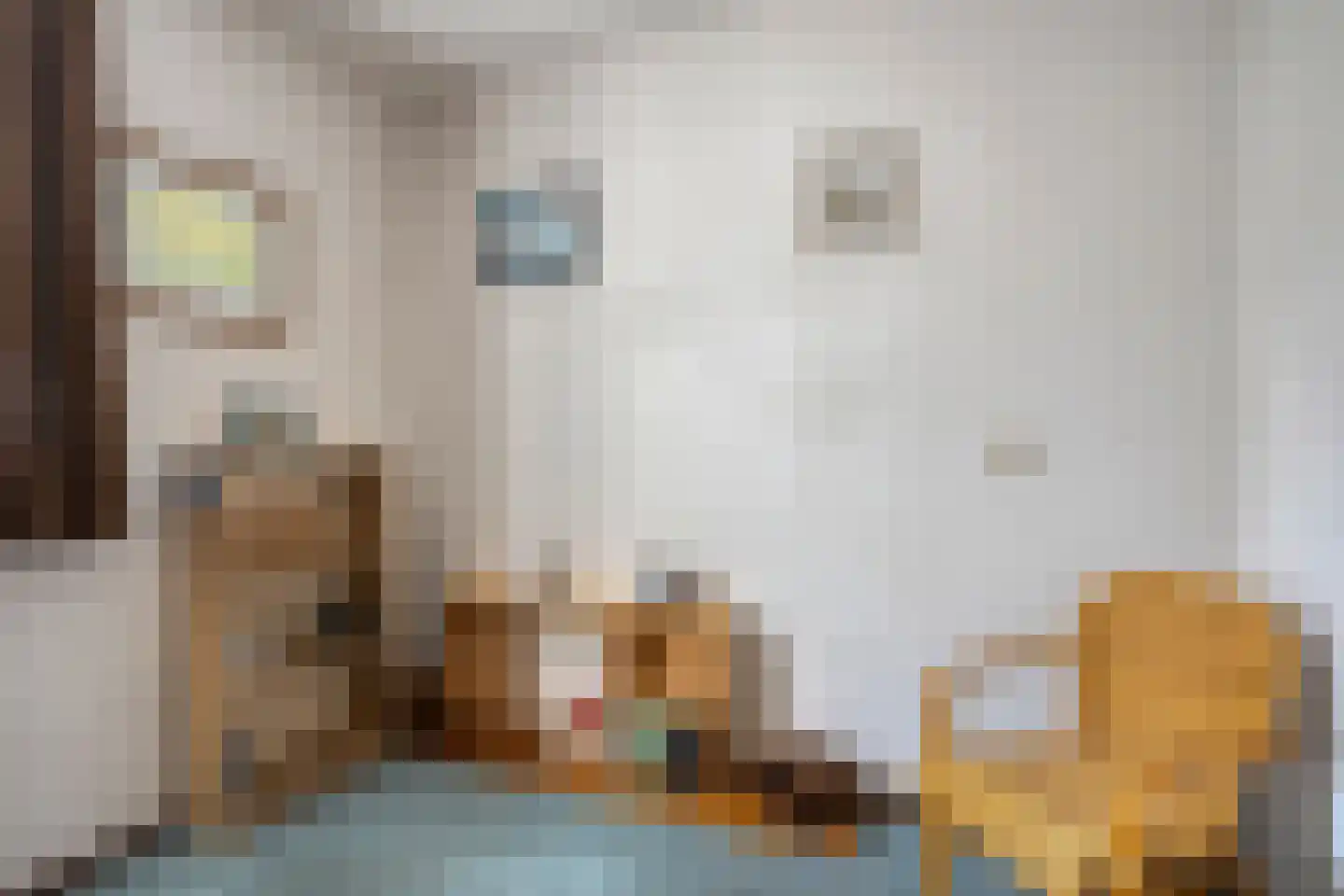 Broekmorgen 36 Uden thumbnail 27