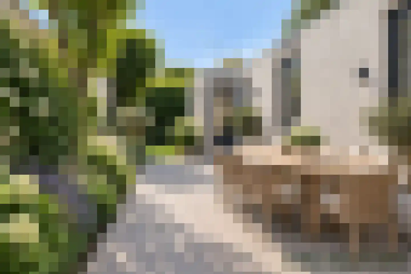 Broekmorgen 36 Uden thumbnail 30