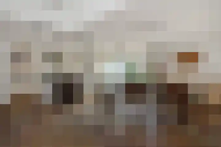 Broekmorgen 44 Uden thumbnail 12