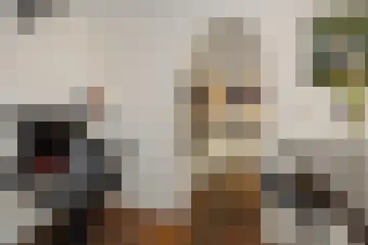 Broekmorgen 44 Uden thumbnail 14
