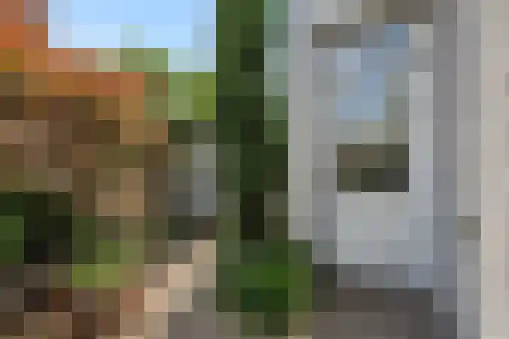 Broekmorgen 44 Uden thumbnail 32