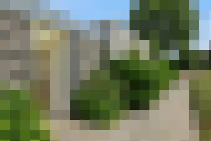 Broekmorgen 44 Uden thumbnail 34