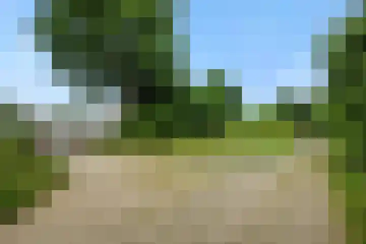 Broekmorgen 44 Uden thumbnail 37