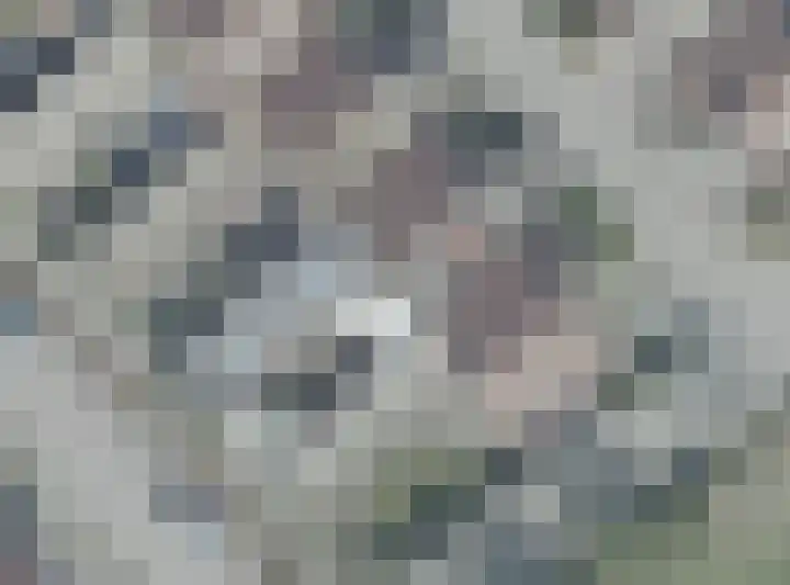 Broekmorgen 44 Uden thumbnail 39