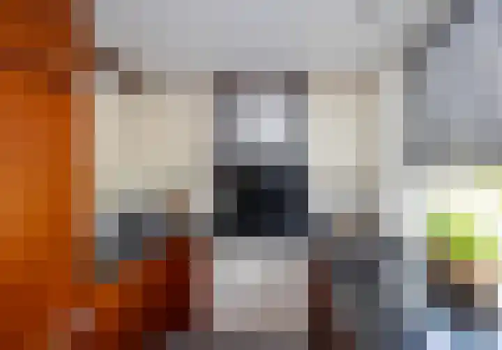 Broekmorgen 5 Uden thumbnail 12