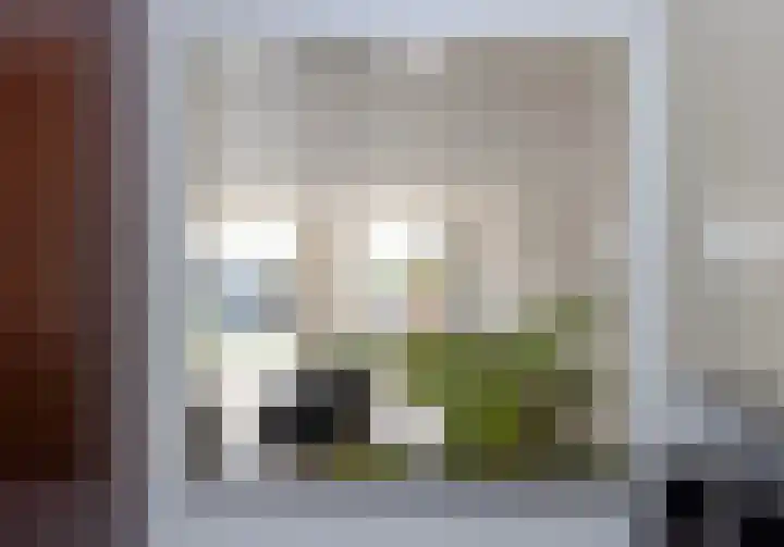 Broekmorgen 5 Uden thumbnail 13