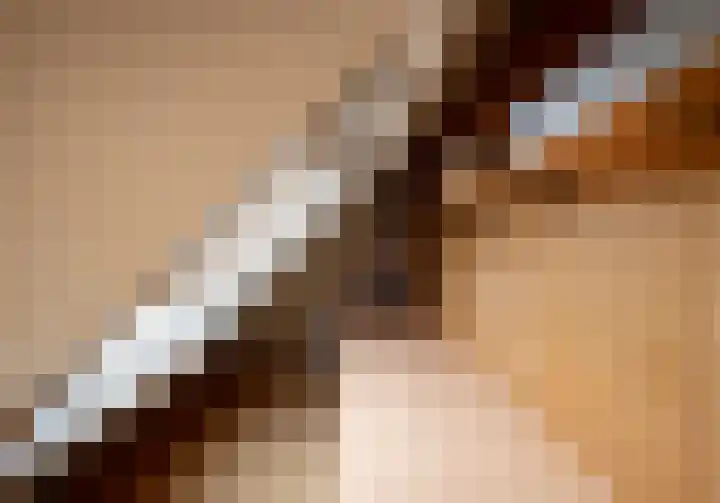 Broekmorgen 5 Uden thumbnail 27
