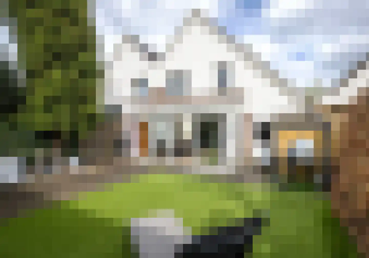 Broekmorgen 5 Uden thumbnail 33