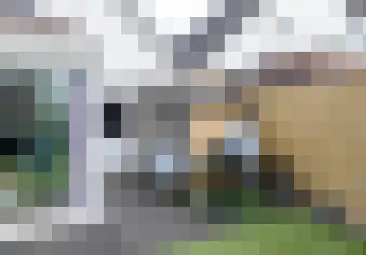 Broekmorgen 5 Uden thumbnail 35